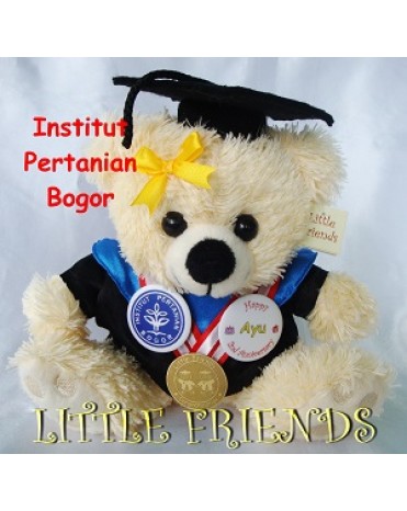 Boneka Wisuda Institut Pertanian Bogor - Teknik (25 cm)